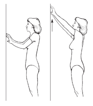 Упражнение у стены