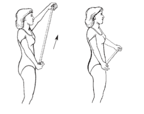 Упражнения с гимнастической палкой