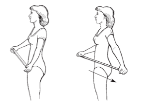 Упражнения с гимнастической палкой