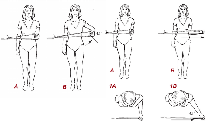 Укрепляющие упражнения