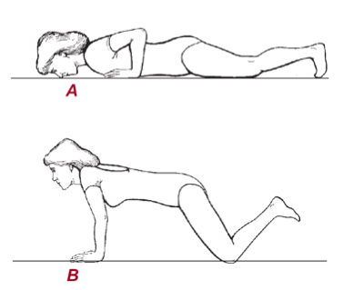 Отжимание с колен