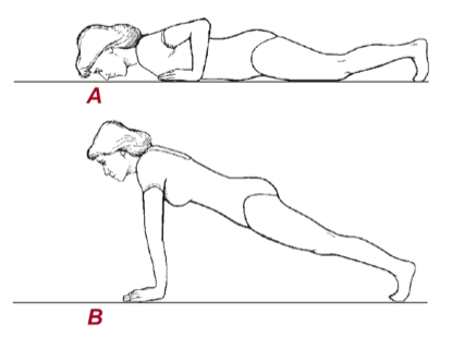 Обычное отжимание