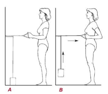 Укрепляющие упражнения с блоком